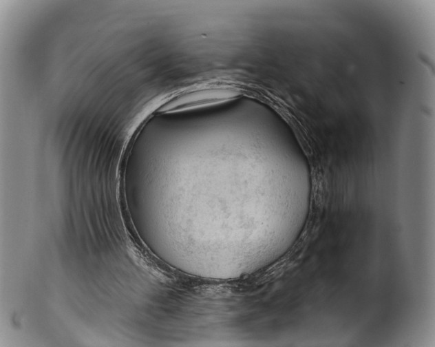 X0000100500100200806271308