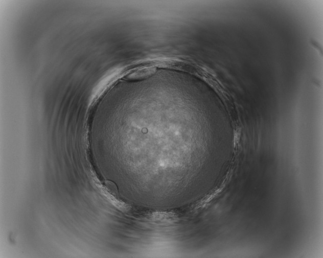 X0000100500101200806271308