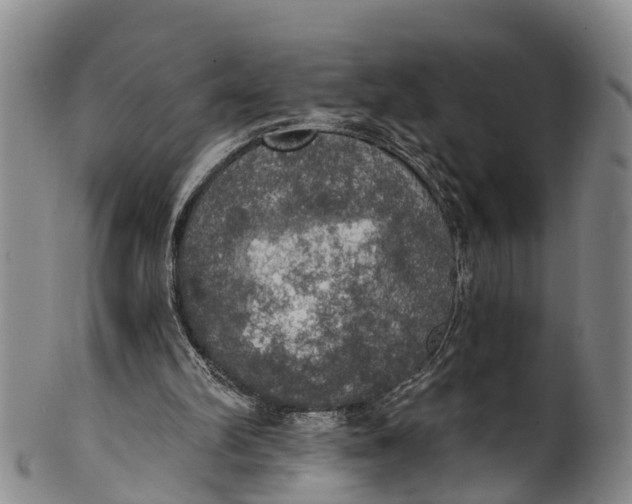 X0000100500102200806271308