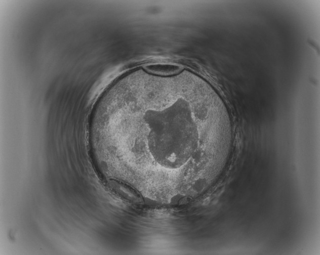 X0000100500103200806271308