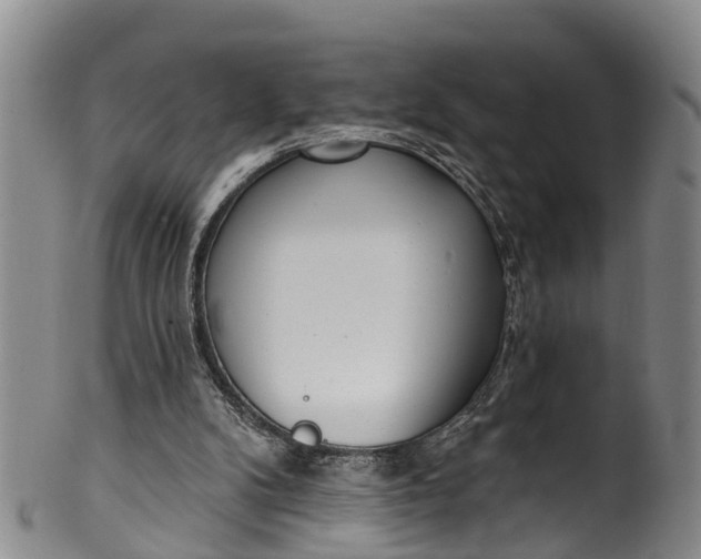 X0000100500104200806271308