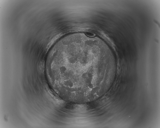 X0000100500107200806271308