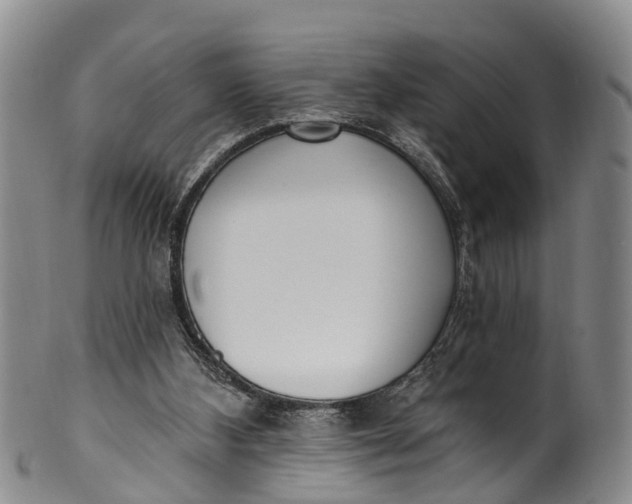 X0000100500108200806271308