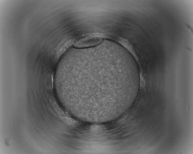 X0000100500109200806271308