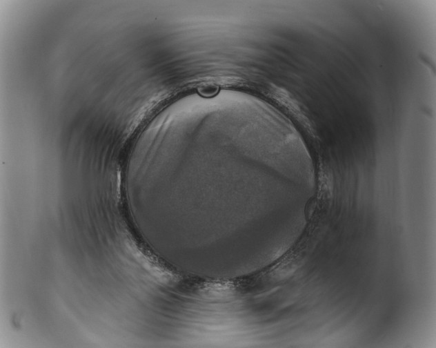 X0000100500110200806271308