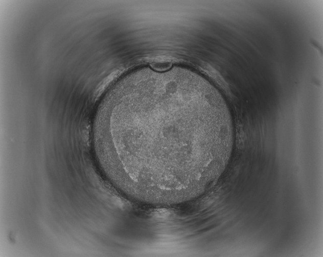 X0000100500111200806271308