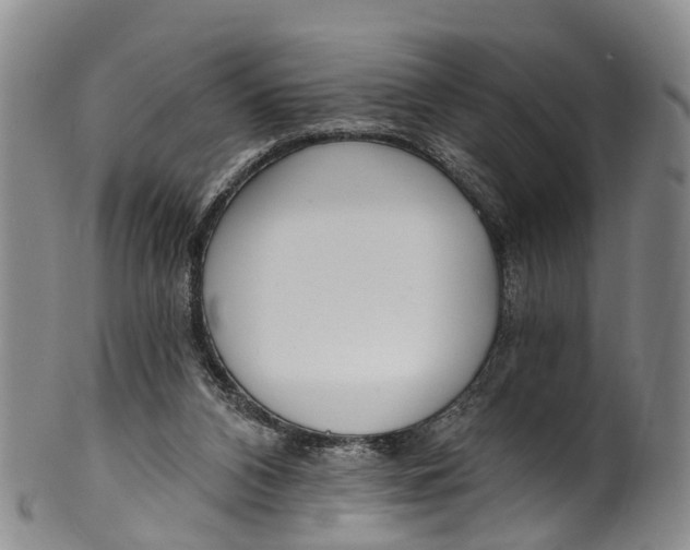 X0000100500112200806271308