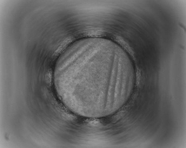 X0000100500113200806271308