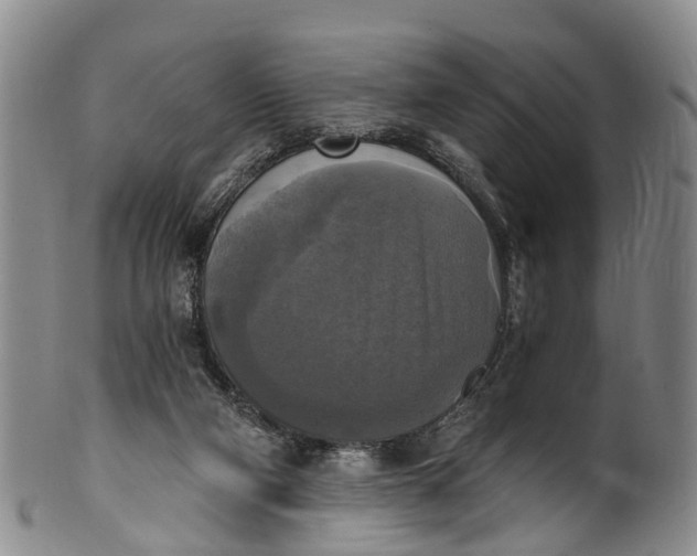 X0000100500114200806271308