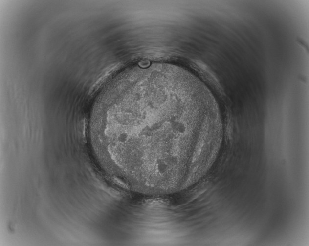 X0000100500115200806271308