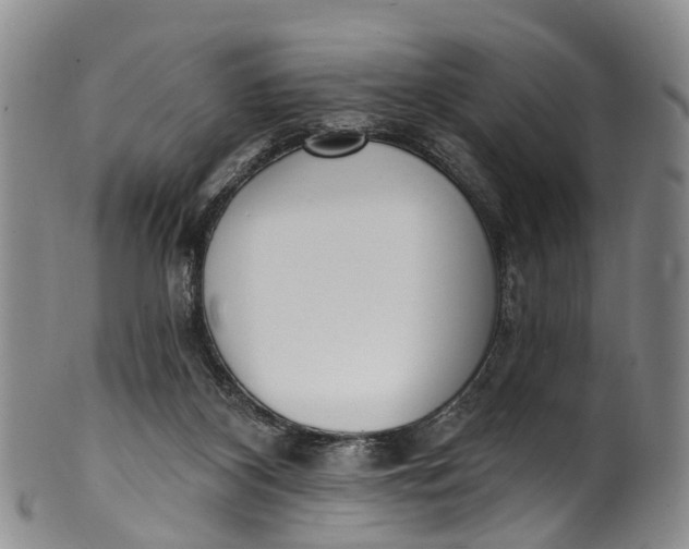 X0000100500116200806271308