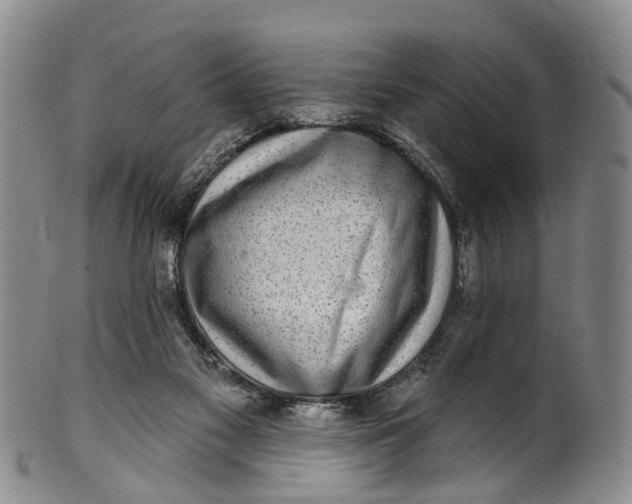 X0000100500117200806271308