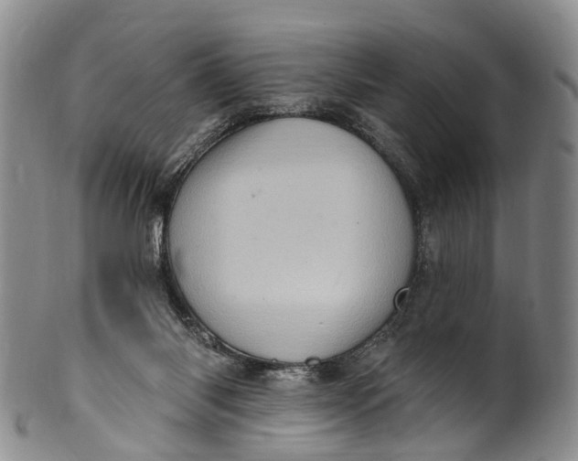 X0000100500118200806271307