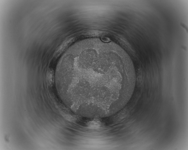 X0000100500119200806271307