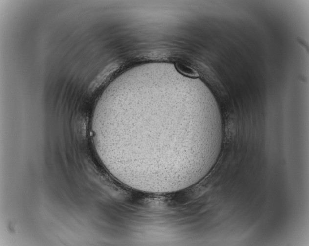 X0000100500120200806271307