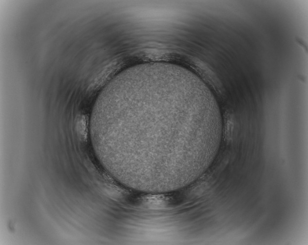 X0000100500121200806271307