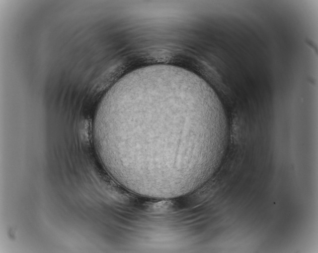 X0000100500122200806271307