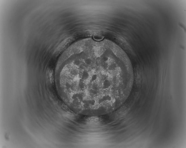 X0000100500123200806271307