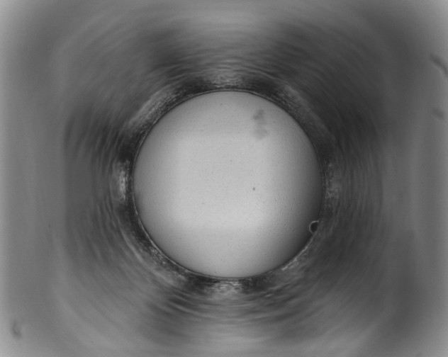 X0000100500124200806271307