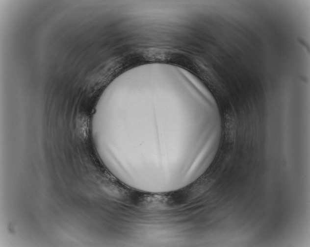 X0000100500125200806271307