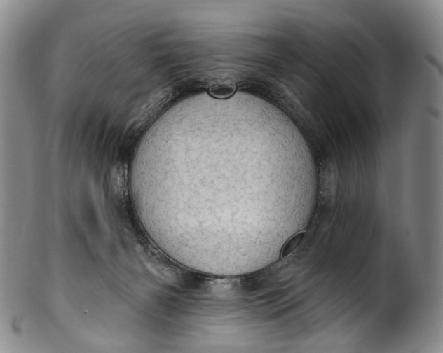 X0000100500126200806271307