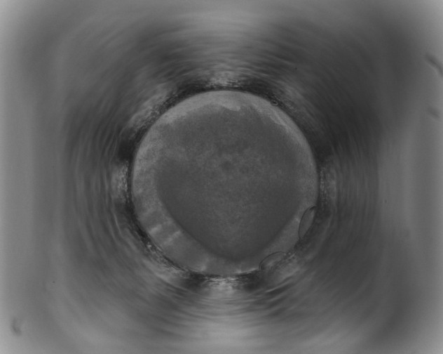 X0000100500127200806271307