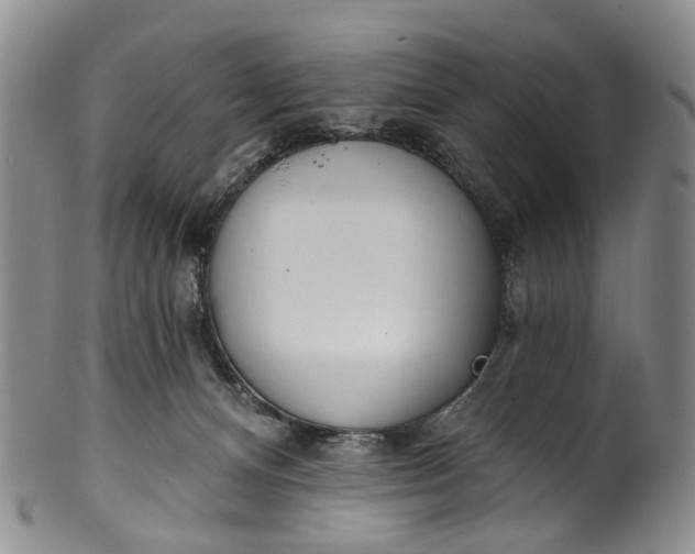 X0000100500128200806271307