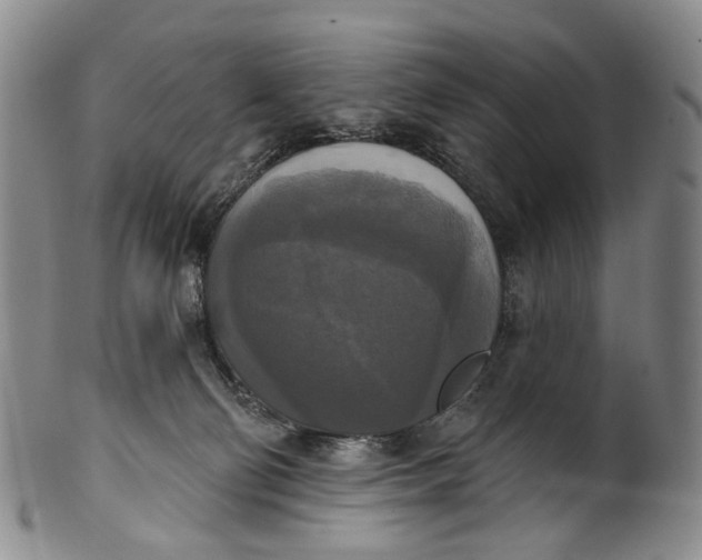 X0000100500130200806271307