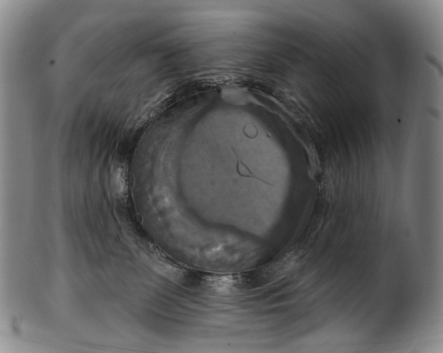 X0000100500131200806271307