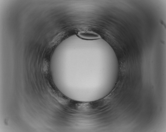 X0000100500132200806271307