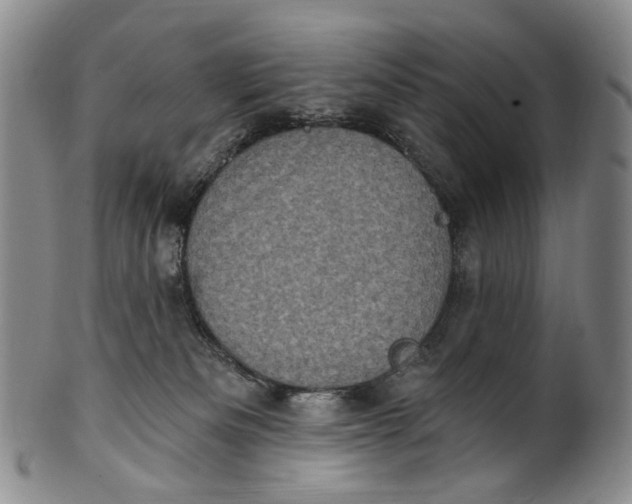 X0000100500133200806271307