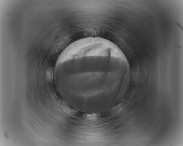 X0000100500134200806271307