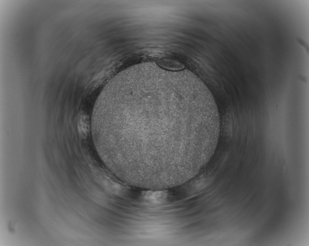 X0000100500135200806271307