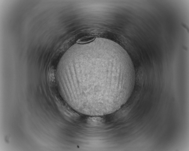 X0000100500137200806271307