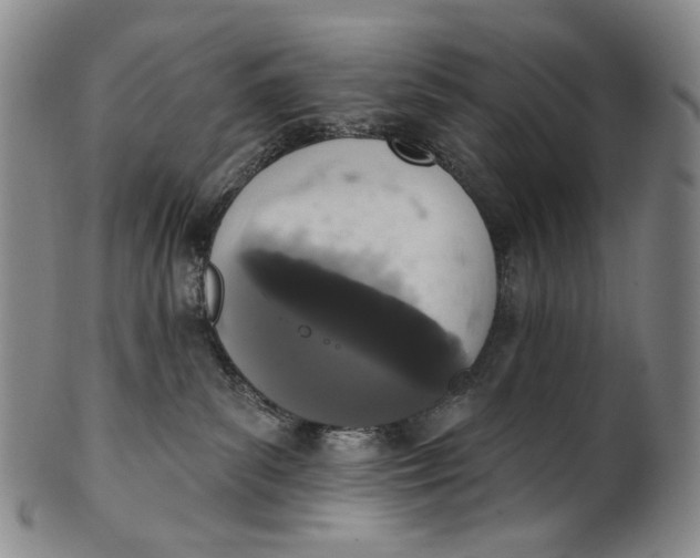 X0000100500139200806271307