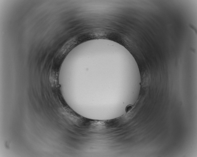 X0000100500140200806271307