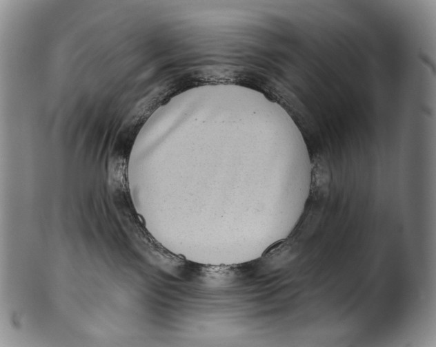 X0000100500141200806271307