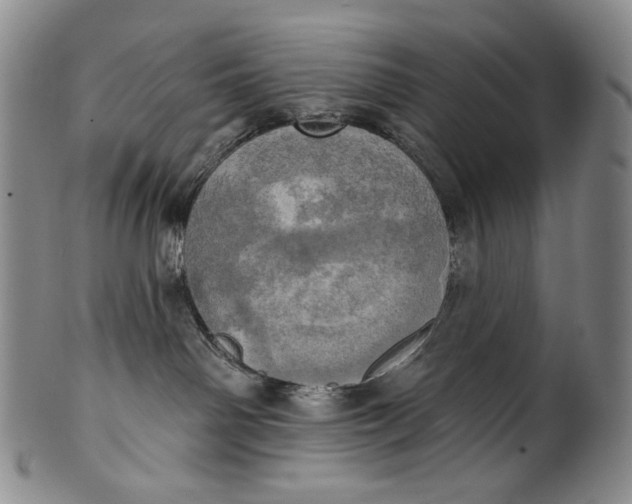 X0000100500142200806271307