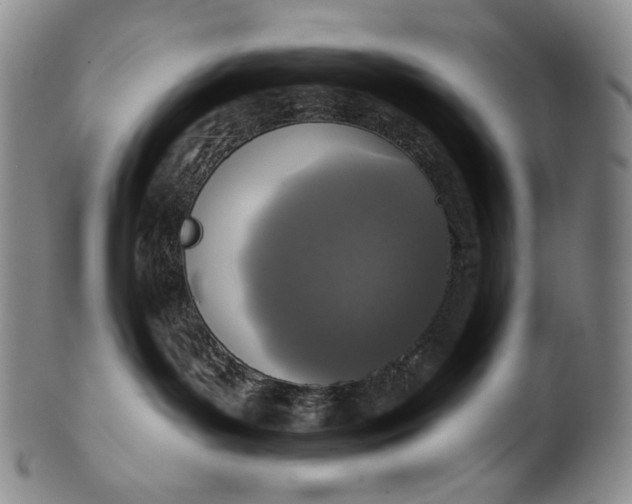 X0000100500143200806271307