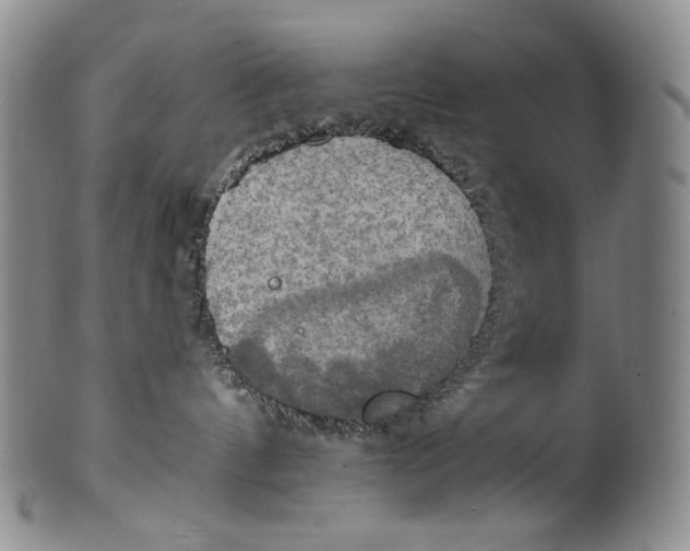 X0000100500144200806271307