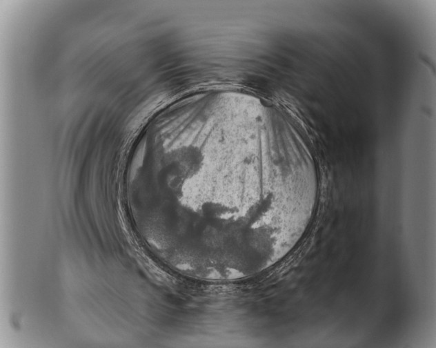 X0000100500145200806271306