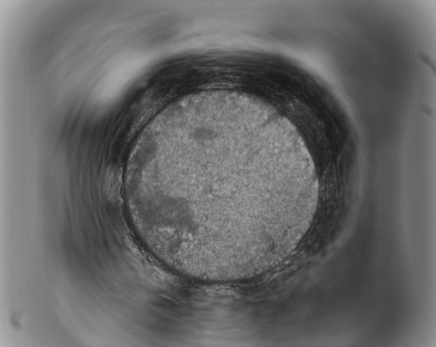 X0000100500146200806271306