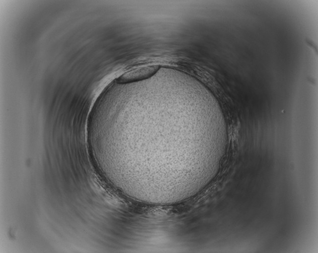 X0000100500148200806271306