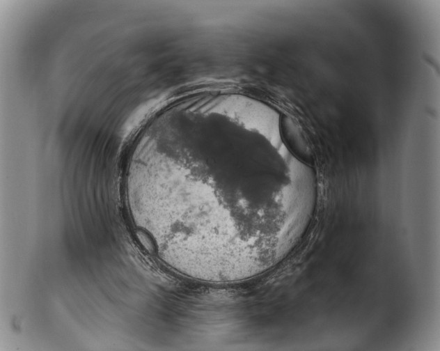 X0000100500149200806271306