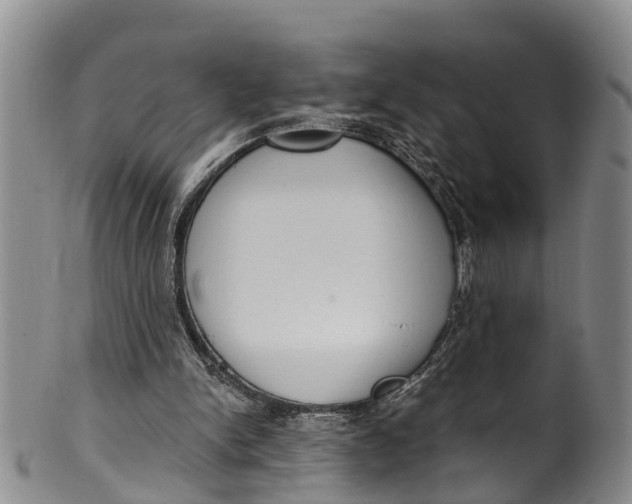 X0000100500150200806271306