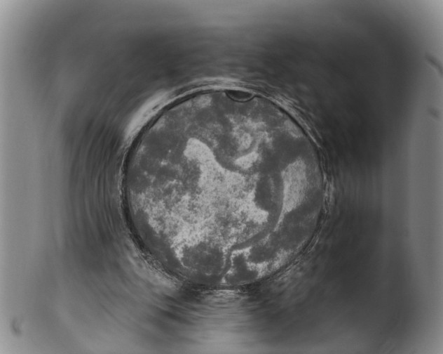 X0000100500151200806271307