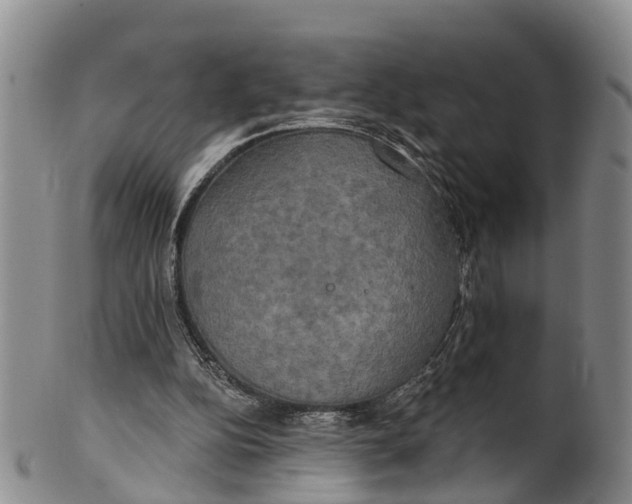 X0000100500152200806271307