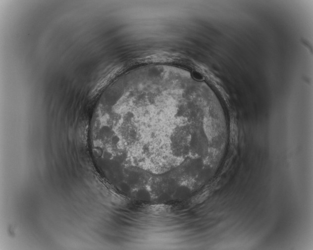 X0000100500153200806271307