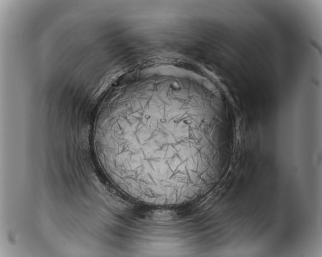 X0000100500154200806271307