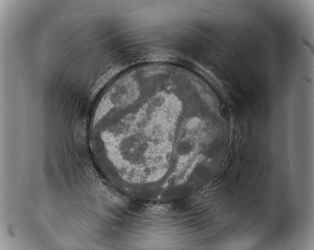 X0000100500155200806271307